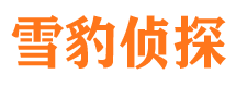 吉木乃侦探